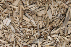 biomass boilers Lledrod